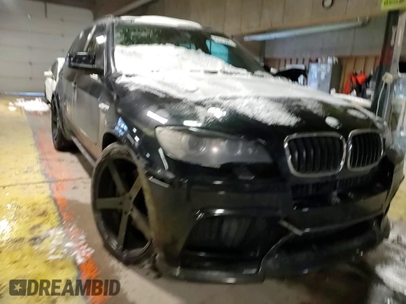 2010 BMW X5 M with VIN 5YMGY0C58ALK25854, listed as a Copart auction lot 87815685 with 0 mi miles and Salvage Title. Bid and sale history available at carsss.com. Image 11.
