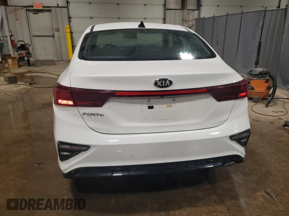 2019 Kia Forte LXS with VIN 3KPF24AD6KE067242, listed as a Copart auction lot 48718705 with 43,998 mi miles and Salvage Title. Bid and sale history available at DreamBid. Image 6.