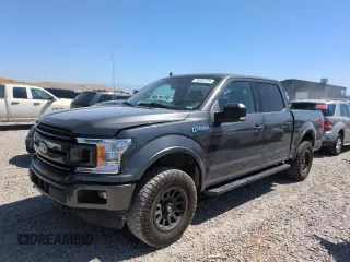 2019 Ford F-150 XL with VIN 1FTEW1E53KKE86762, listed as a Copart auction lot 59042785 with 57,533 mi miles and Salvage title. Bid and sale history available at DreamBid. Image 1.