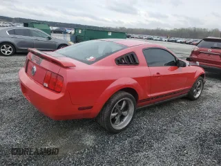 2005 Ford Mustang Deluxe with VIN 1ZVFT80N955110192, listed as a Copart auction lot 49981045 with 22,110 mi miles and Salvage Title. Bid and sale history available at carsss.com. Image 3.