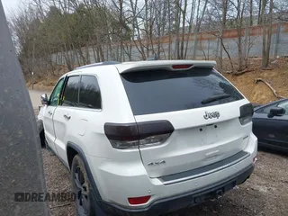 2018 Jeep Grand Cherokee Limited with VIN 1C4RJFBG0JC144620, listed as a IAAI auction lot 42018572 with 124,874 mi miles and . Bid and sale history available at DreamBid. Image 3.