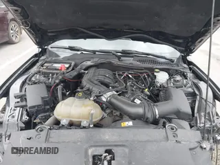2017 Ford Mustang V6 with VIN 1FA6P8AM8H5280924, listed as a IAAI auction lot 41938096 with 167,622 mi miles and . Bid and sale history available at DreamBid. Image 10.