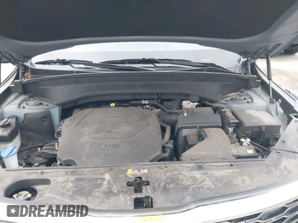 2021 Kia Telluride EX with VIN 5XYP34HCXMG123526, listed as a IAAI auction lot 41842912 with 54,675 mi miles and . Bid and sale history available at DreamBid. Image 10.