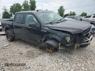 2019 Ford F-150 XL with VIN 1FTEW1E56KFB84343, listed as a Copart auction lot 60722365 with Not provided miles and Clean title. Bid and sale history available at DreamBid. Image 4.