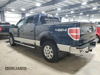 2013 Ford F-150 XL with VIN 1FTFW1ET1DKG51049, listed as a Copart auction lot 44202195 with 133,415 mi miles and Salvage Title. Bid and sale history available at carsss.com. Image 2.