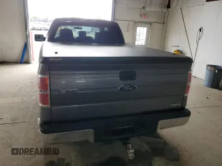 2013 Ford F-150 XL with VIN 1FTEX1CM0DFB34953, listed as a Copart auction lot 54591845 with Not provided miles and Salvage title. Bid and sale history available at DreamBid. Image 6.