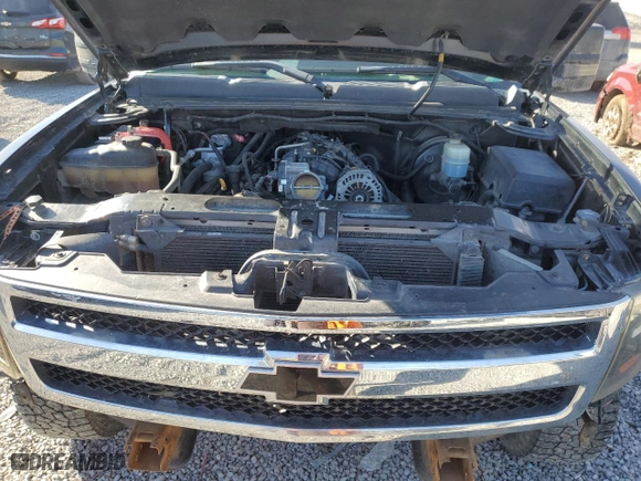 2009 Chevrolet Silverado 1500 LT with VIN 1GCEK29039Z161062, listed as a Copart auction lot 42118485 with 204,963 mi miles and Salvage Title. Bid and sale history available at carsss.com. Image 11.