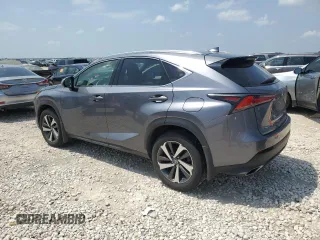 2019 Lexus NX 300 with VIN JTJBARBZ1K2183192, listed as a Copart auction lot 53644305 with 43,832 mi miles and Salvage Title. Bid and sale history available at DreamBid. Image 2.