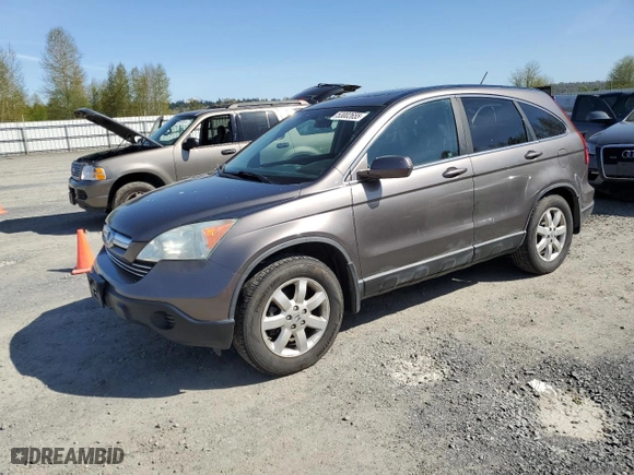 2009 Honda CR-V EX-L with VIN 5J6RE48789L031388, listed as a Copart auction lot 53002655 with 259,803 mi miles and Salvage Title. Bid and sale history available at carsss.com. Image 1.