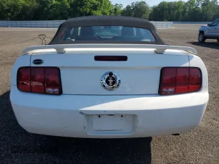 2005 Ford Mustang Deluxe with VIN 1ZVFT84N755194037, listed as a Copart auction lot 61485405 with Not provided miles and Salvage title. Bid and sale history available at DreamBid. Image 6.