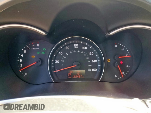 2014 Kia Sorento LX with VIN 5XYKT4A66EG499575, listed as a Copart auction lot 53900745 with 123,487 mi miles and Salvage Title. Bid and sale history available at DreamBid. Image 9.