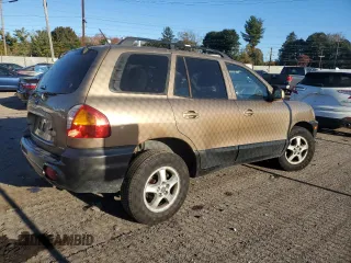 2004 Hyundai Santa Fe GLS with VIN KM8SC73D94U722035, listed as a Copart auction lot 74596014 with 122,920 mi miles and Salvage Title. Bid and sale history available at carsss.com. Image 3.