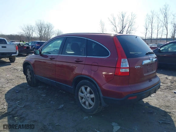2007 Honda CR-V EX-L with VIN JHLRE48797C112731, listed as a IAAI auction lot 41788801 with 1 mi miles. Bid and sale history available at carsss.com. Image 3.