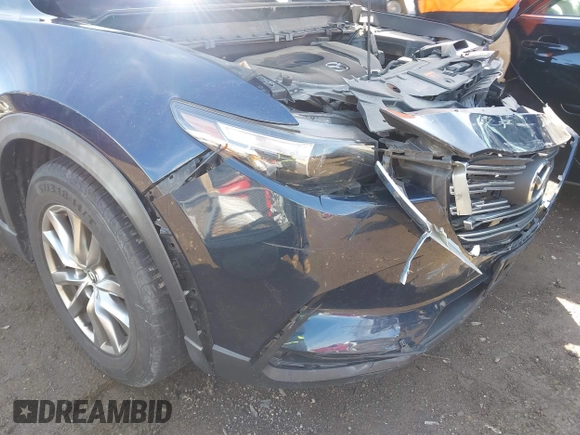 2017 Mazda CX-9 Touring with VIN JM3TCBCY3H0139866, listed as a IAAI auction lot 41849281 with 135,259 mi miles and . Bid and sale history available at DreamBid. Image 6.