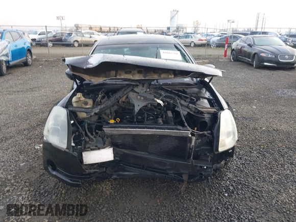 2004 Nissan Maxima SL with VIN 1N4BA41E14C890140, listed as a IAAI auction lot 41018281 with 218,229 mi miles and . Bid and sale history available at DreamBid. Image 13.