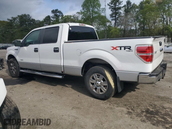 2011 Ford F-150 XLT with VIN 1FTFW1ET5BFB86491, listed as a Copart auction lot 51230135 with 198,358 mi miles and Salvage Title. Bid and sale history available at carsss.com. Image 2.