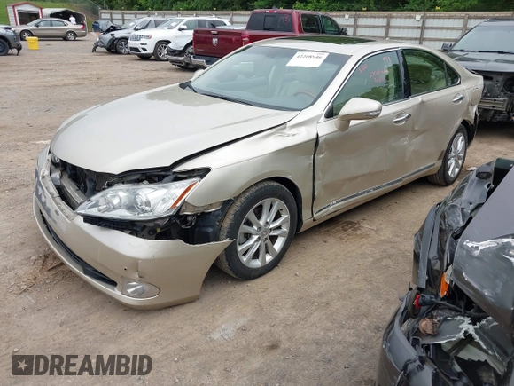 2010 Lexus ES 330 with VIN JTHBK1EG0A2396515, listed as a IAAI auction lot 42208946 with 181,471 mi miles and . Bid and sale history available at DreamBid. Image 2.