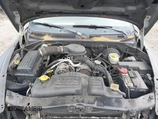 2003 Dodge Dakota with VIN 1D7FL46X43S190137, listed as a IAAI auction lot 42525471 with 130,773 mi miles and . Bid and sale history available at DreamBid. Image 10.