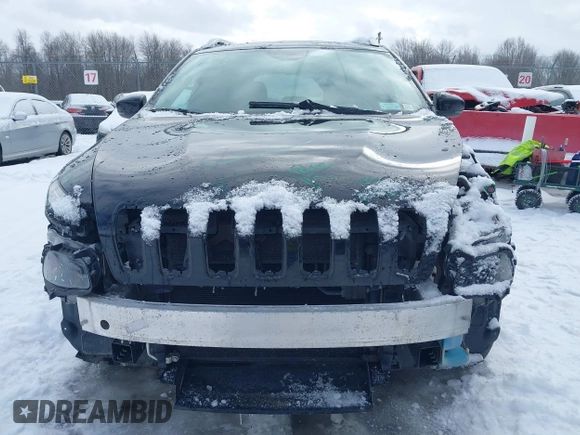 2017 Jeep Cherokee Limited with VIN 1C4PJMDS1HW505617, listed as a IAAI auction lot 41461389 with 97,978 mi miles. Bid and sale history available at carsss.com. Image 12.