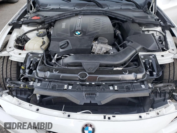 2014 BMW 4 Series 435i with VIN WBA3R1C51EK192330, listed as a Copart auction lot 42523825 with 106,183 mi miles and Salvage Title. Bid and sale history available at carsss.com. Image 11.