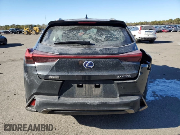 2021 Lexus UX with VIN JTHR9JBH7M2050957, listed as a Copart auction lot 42299095 with 0 mi miles and Salvage Title. Bid and sale history available at carsss.com. Image 6.