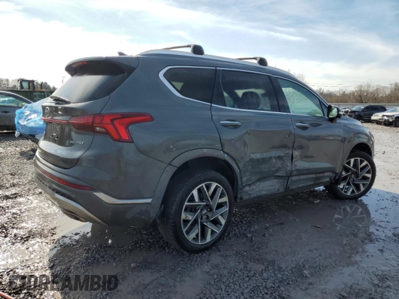 2021 Hyundai Santa Fe Calligraphy with VIN 5NMS5DAL5MH368500, listed as a Copart auction lot 42534255 with 106,945 mi miles and Salvage title. Bid and sale history available at DreamBid. Image 3.