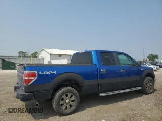 2010 Ford F-150 XL with VIN 1FTFW1EV5AFC24964, listed as a Copart auction lot 59233005 with 212,453 mi miles and Clean title. Bid and sale history available at DreamBid. Image 3.