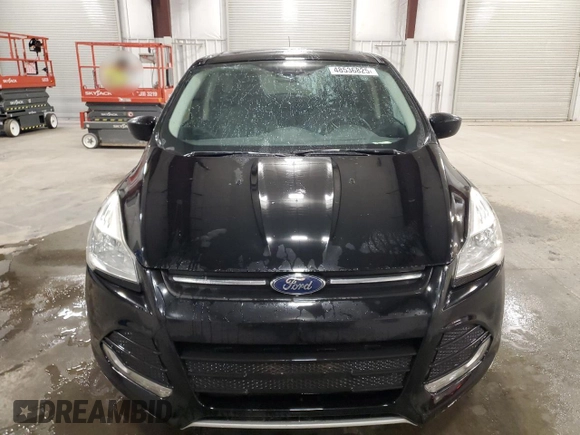 2016 Ford Escape SE with VIN 1FMCU9GX6GUA16825, listed as a Copart auction lot 48536825 with 153,053 mi miles and Salvage Title. Bid and sale history available at DreamBid. Image 5.