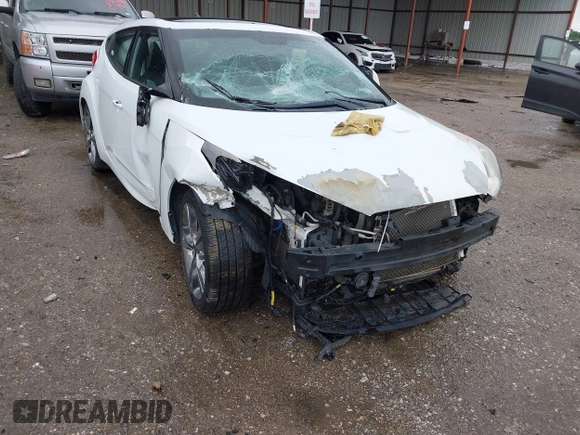2016 Hyundai Veloster with VIN KMHTC6AD8GU248553, listed as a IAAI auction lot 42174244 with Not provided miles and . Bid and sale history available at DreamBid. Image 1.