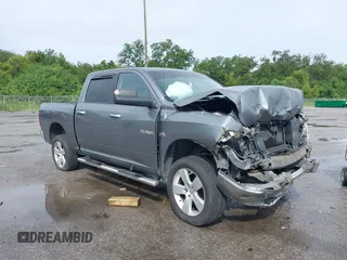 2009 Dodge 1500 Sport with VIN 1D3HB13T49J509564, listed as a IAAI auction lot 40218170 with Not Provided miles. Bid and sale history available at carsss.com. Image 1.