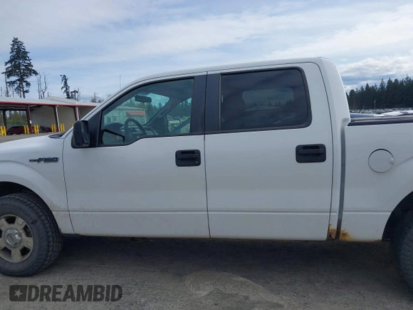 2011 Ford F-150 XL with VIN 1FTFW1EF1BFC77879, listed as a IAAI auction lot 42008883 with 258,812 mi miles. Bid and sale history available at carsss.com. Image 14.