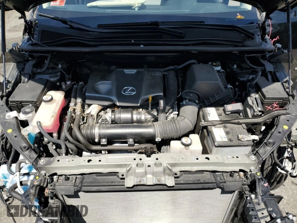 2020 Lexus NX 300 with VIN JTJGARDZ0L5004482, listed as a Copart auction lot 64553215 with 38,436 mi miles and Salvage title. Bid and sale history available at DreamBid. Image 12.