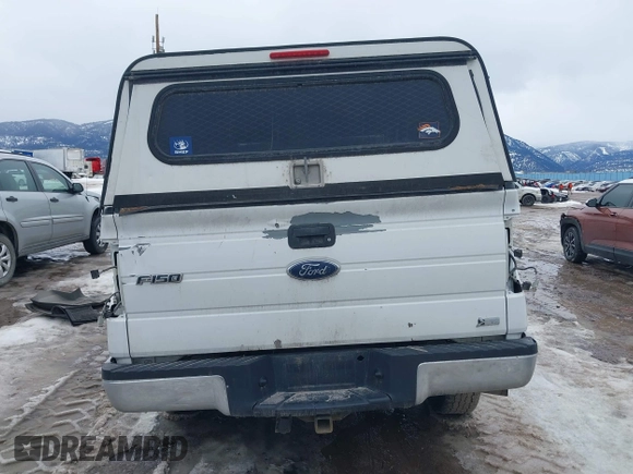 2010 Ford F-150 XL with VIN 1FTFX1EV0AKE32058, listed as a IAAI auction lot 41655246 with 185,671 mi miles and . Bid and sale history available at DreamBid. Image 16.