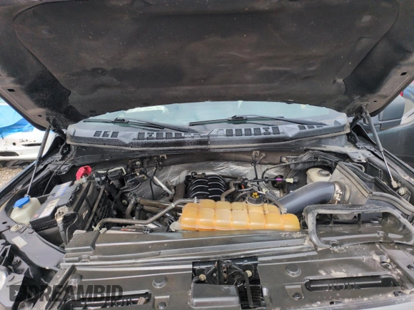 2015 Ford F-150 XLT z VIN 1FTEW1EF7FFC55578, wystawiony jako Copart lot #55685215 z przebiegiem 282 342 mil mil oraz Szkoda całkowita • Salvage title. Historia ofert i sprzedaży dostępna na DreamBid. Obrazek 11.