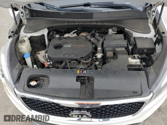 2016 Kia Sorento EX with VIN 5XYPH4A18GG125810, listed as a Copart auction lot 49037535 with 161,383 mi miles and Salvage Title. Bid and sale history available at DreamBid. Image 13.