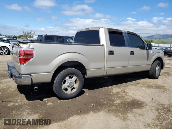 2010 Ford F-150 XL with VIN 1FTEW1C87AKA25821, listed as a Copart auction lot 49008285 with Not Provided miles and Salvage Title. Bid and sale history available at carsss.com. Image 3.