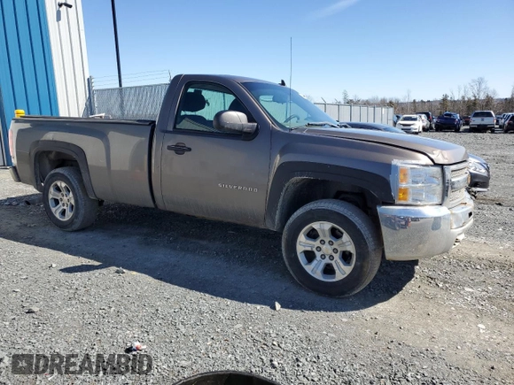2012 Chevrolet Silverado 1500 Work Truck with VIN 1GCNKPEA4CZ226438, listed as a Copart auction lot 48886105 with 381,766 mi miles and Non Repairable. Bid and sale history available at DreamBid. Image 4.