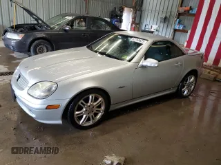2004 Mercedes-Benz SLK 230/320 with VIN WDBKK49F84F305801, listed as a Copart auction lot 63758625 with 123,793 mi miles and Salvage title. Bid and sale history available at DreamBid. Image 1.