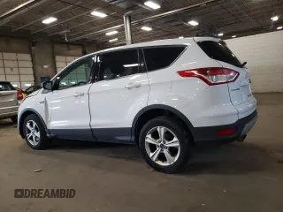 2013 Ford Escape SE with VIN 1FMCU9G91DUA74516, listed as a Copart auction lot 54197845 with 209,473 mi miles and Salvage title. Bid and sale history available at DreamBid. Image 2.