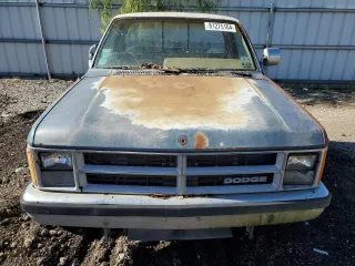 1989 Dodge Dakota "S" with VIN 1B7GL26X9KS123535, listed as a Copart auction lot 81275164 with 188,297 mi miles and Clean Title. Bid and sale history available at carsss.com. Image 5.