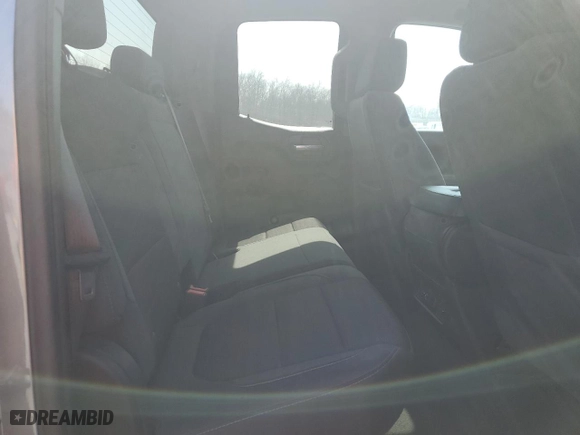 2019 Chevrolet Silverado 1500 LT with VIN 1GCRYDED9KZ368291, listed as a Copart auction lot 49207785 with 111,078 mi miles and Salvage Title. Bid and sale history available at carsss.com. Image 10.