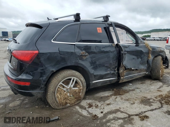 2013 Audi Q5 Premium Plus with VIN WA1LFAFP0DA007899, listed as a Copart auction lot 61058055 with Not provided miles and Salvage title. Bid and sale history available at DreamBid. Image 3.
