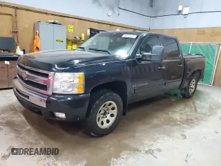 2009 Chevrolet Silverado 1500 LT with VIN 2GCEK233791103211, listed as a Copart auction lot 56010155 with 166,882 mi miles and Clean Title. Bid and sale history available at DreamBid. Image 1.