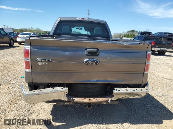 2010 Ford F-150 XL with VIN 1FTEX1CW4AFD39298, listed as a Copart auction lot 49581095 with 190,791 mi miles and Salvage Title. Bid and sale history available at carsss.com. Image 6.
