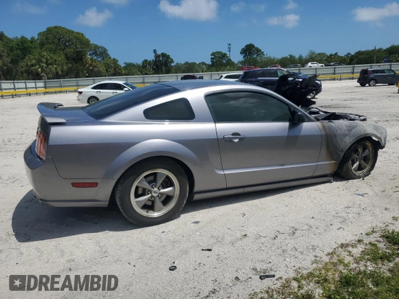 2006 Ford Mustang GT Deluxe with VIN 1ZVFT82H665230721, listed as a Copart auction lot 51584405 with 0 mi miles and Non Repairable. Bid and sale history available at carsss.com. Image 3.