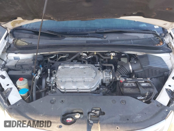 2009 Honda Odyssey EX-L with VIN 5FNRL38799B404379, listed as a IAAI auction lot 41990398 with 224,859 mi miles and . Bid and sale history available at DreamBid. Image 10.