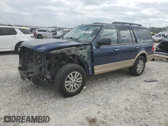 2011 Ford Expedition XLT with VIN 1FMJU1H52BEF47545, listed as a Copart auction lot 52987825 with 127,500 mi miles and Salvage title. Bid and sale history available at DreamBid. Image 1.