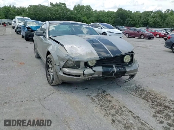 2008 Ford Mustang Deluxe with VIN 1ZVHT80N985139981, listed as a Copart auction lot 62411995 with 235,999 mi miles and Salvage title. Bid and sale history available at DreamBid. Image 14.