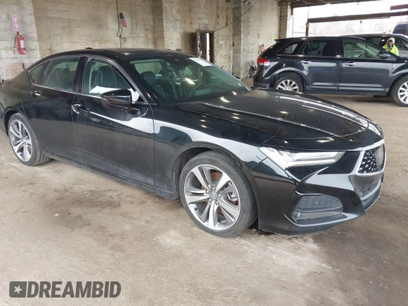 2021 Acura TLX Advance with VIN 19UUB5F61MA005696, listed as a IAAI auction lot 41788051 with Not Provided miles and . Bid and sale history available at DreamBid. Image 1.