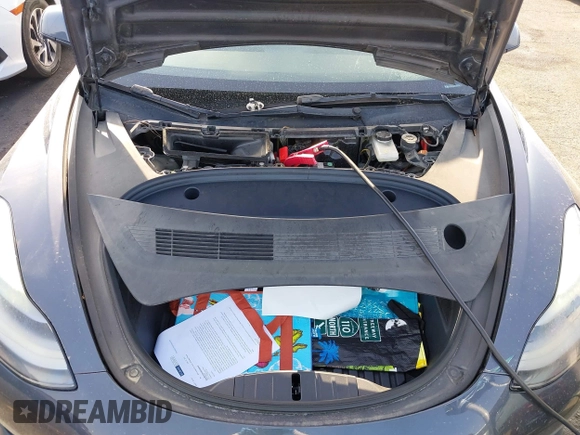 2023 Tesla Model 3 with VIN 5YJ3E1EA4PF427022, listed as a IAAI auction lot 42465964 with 169,346 mi miles and . Bid and sale history available at DreamBid. Image 10.